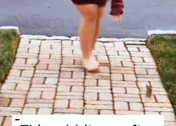 C1512002_Rescue baby rabbit #rescue #rescueanimals #bunny #rabbit #viral