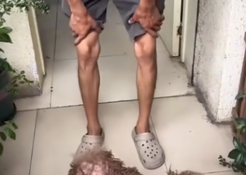 C1612017_Rescue stray dogs.#animals #fyp #rescue #dogsoftiktok #puppy