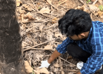 C0112025_The weak creature nearly lifeless in the dirt #helpme #urgentrescue_part2