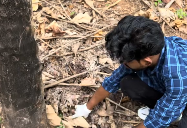 C0112025_The weak creature nearly lifeless in the dirt #helpme #urgentrescue_part2