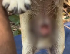 C0112029_A cold life fading alone in the dark #lightforlife #rescuers_part2