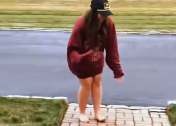 C1912002_Rescue baby rabbit #rescue #rescueanimals #bunny #rabbit #viral