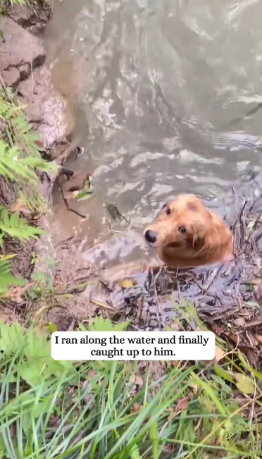 C2312002_Pain reached its limit in these last moments