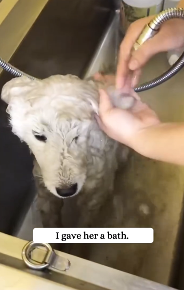 C2312004_The struggle faded as time ran out