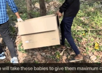 C0112030_This suffering soul whispering for help #urgentrescue #gentlehands_part2