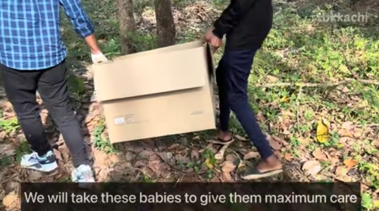 C0112030_This suffering soul whispering for help #urgentrescue #gentlehands_part2