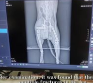 C2312006_The tiny soul trapped in heartbreaking pain #save #helpnow_part1