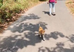 C2312009_Every second recorded pure despair