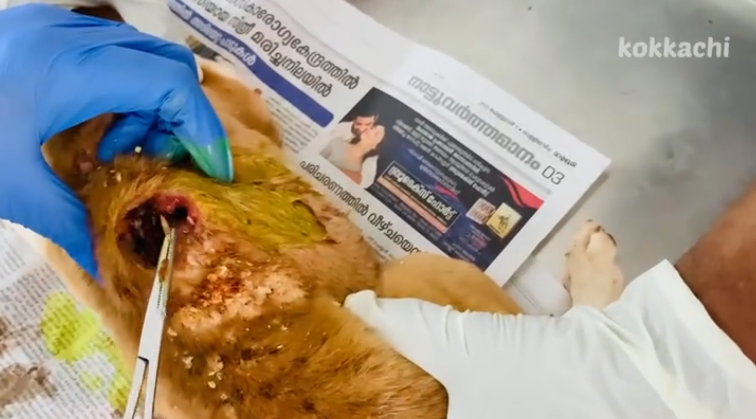 C2312010_The scene changed when survival failed