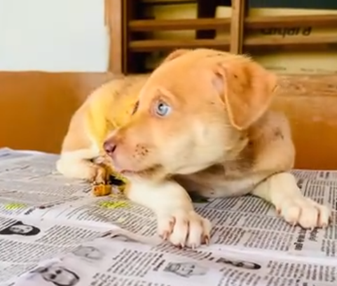 C2312011_No intervention stopped the inevitable