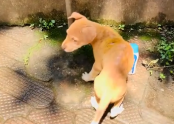 C2312013_Time expired during the final breakdown