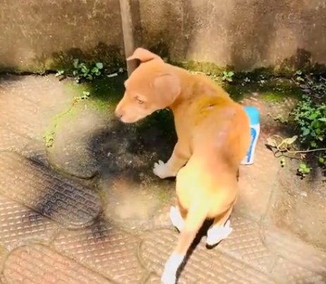 C2312013_Time expired during the final breakdown