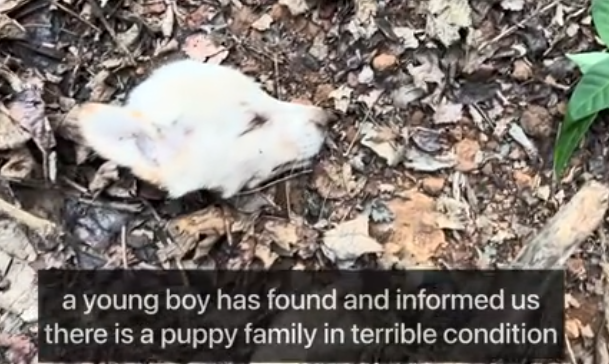 C2312014_Strength disappeared moments before the end