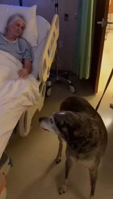 C2412002_Pain deepened while the camera kept watching