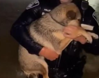 C2412005_Time slipped away during unbearable suffering