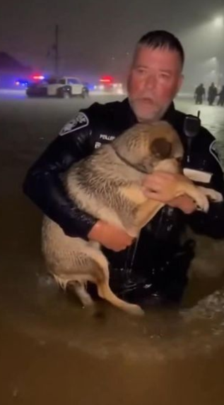 C2412005_Time slipped away during unbearable suffering