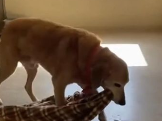 C2412006_No rescue arrived before everything collapsed