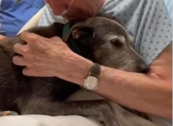 C2412008_The ending came faster than expected