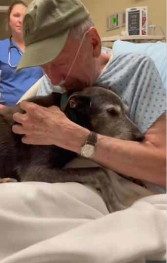 C2412008_The ending came faster than expected