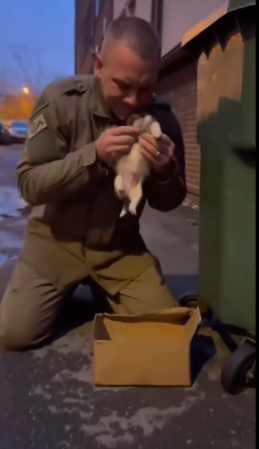 C2412009_This footage captures a moment beyond saving