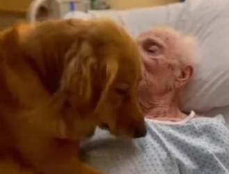 C2412012_The scene turned tragic in real time