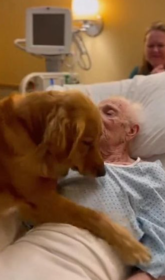 C2412012_The scene turned tragic in real time