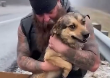 C2412013_No intervention changed the outcome