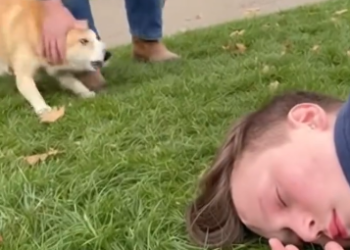 C2412014_The camera witnessed a devastating collapse