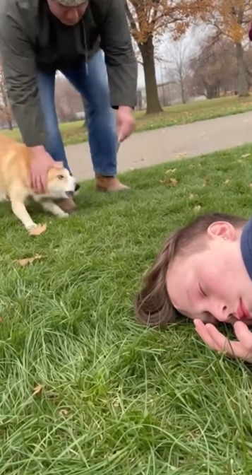 C2412014_The camera witnessed a devastating collapse