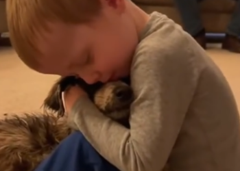 C2412017_Suffering reached its breaking point