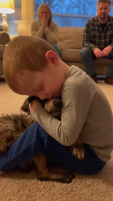 C2412017_Suffering reached its breaking point