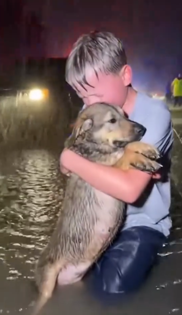 C2412021_The footage reveals a heartbreaking failure