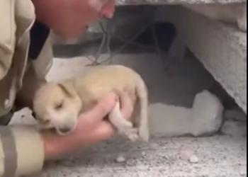 C2412022_Darkness followed after the last movement