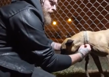 C2412023_No hands reached out in time