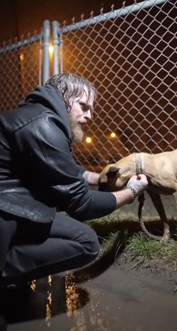 C2412023_No hands reached out in time