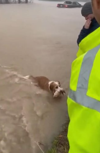 C2412024_The ending unfolded with no mercy