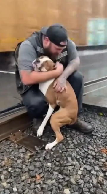 C2412026_The scene showed loss without relief