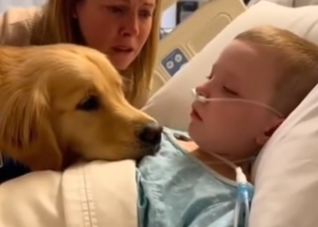 C2412027_Final seconds passed with no rescue