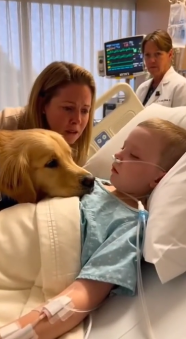 C2412027_Final seconds passed with no rescue