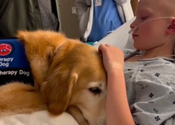 C2412028_The camera stayed on as everything ended