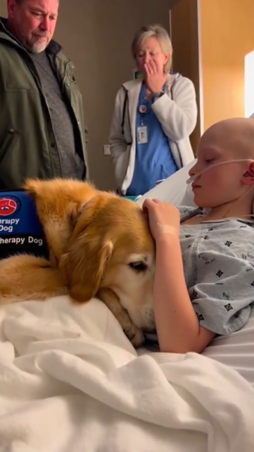 C2412028_The camera stayed on as everything ended