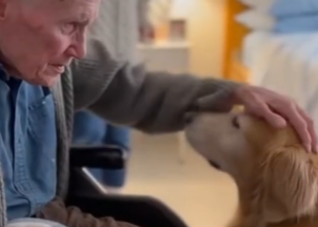 C2412030_This clip ends where saving failed