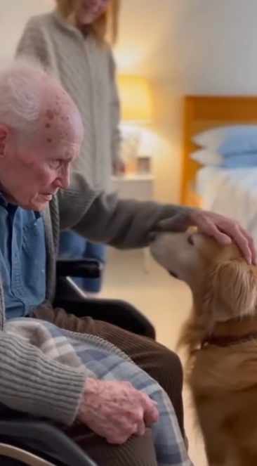 C2412030_This clip ends where saving failed