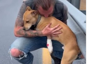 C2512001_Final moments unfolded slowly as hope slipped away in silence