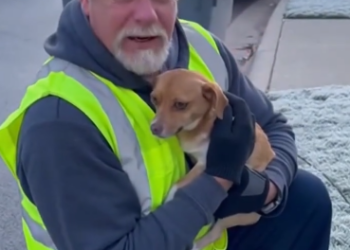 C2512002_Pain stretched endlessly while no one arrived to change the outcome