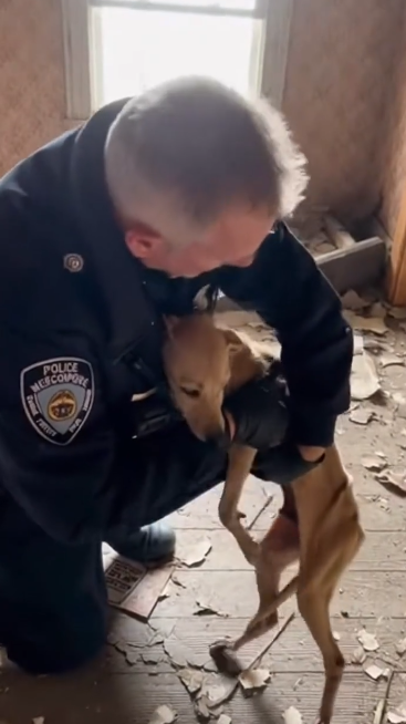 C2512006_Darkness crept in as every chance of survival faded