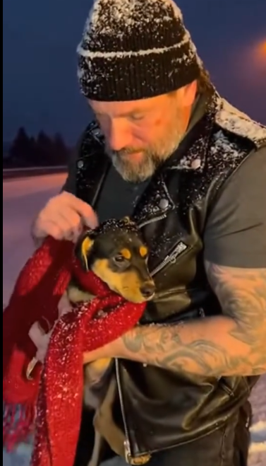 C2512007_No rescue appeared during the most critical moments