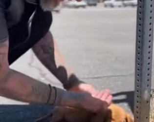 C2512008_The footage captured a collapse that could not be reversed