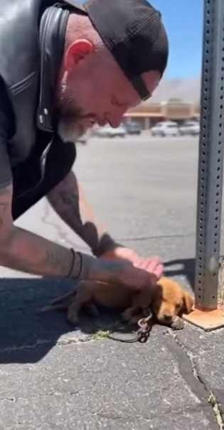 C2512008_The footage captured a collapse that could not be reversed