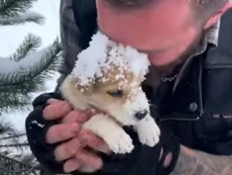 C2512009_Every second showed exhaustion pushing beyond human limits